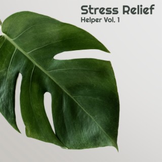 Stress Relief Helper Vol. 1