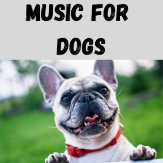Music For Dogs (Vol.112)