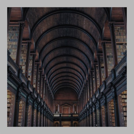 The Empty Library | Boomplay Music