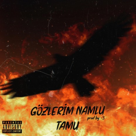 Gözlerim Namlu (feat. Tamu) | Boomplay Music