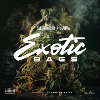 Exotic Bags ft. Smurf Diggidy lyrics | Boomplay Music