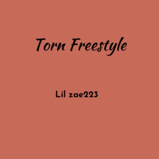 Torn(freestyle)