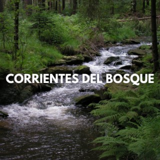 Corrientes del Bosque