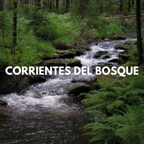 Corrientes de la Mañana ft. Música de la Naturaleza & Sonidos de la Naturaleza Relajacion | Boomplay Music