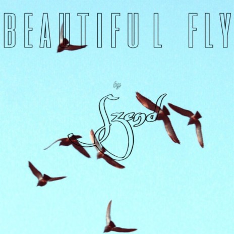 Beautiful Fly | Boomplay Music