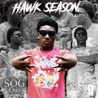 Hawk Season