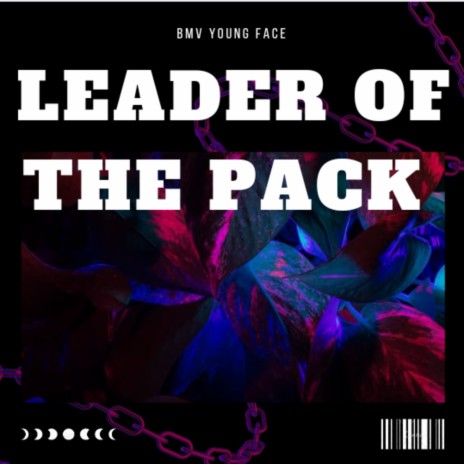 Leader of the Pack | Boomplay Music