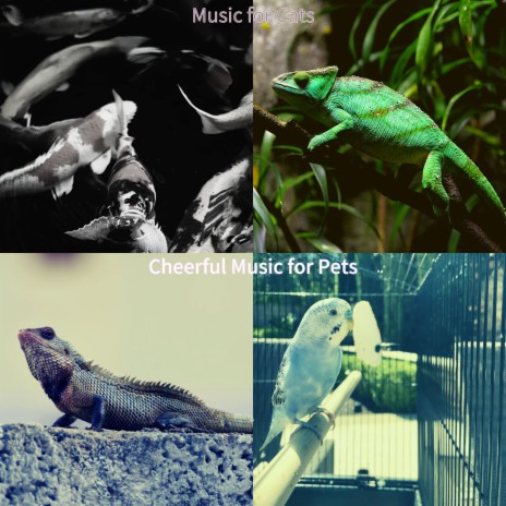 Trio Jazz Soundtrack for Pet Birds