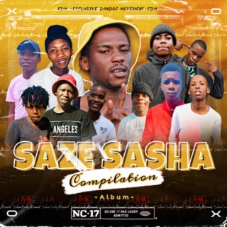 Saze Sasha Complilation Album (feat. Boisiin Tee Vocalist)