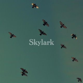 Skylark