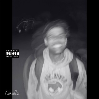Camellia! lyrics | Boomplay Music