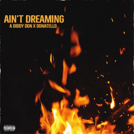 Aint Dreaming ft. Adiddydon & Donatello