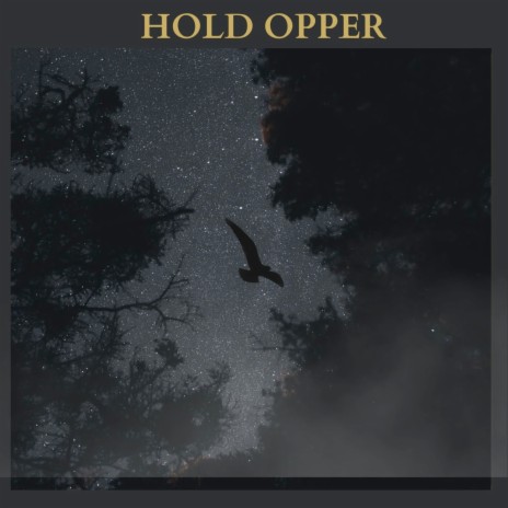 Hold Opper | Boomplay Music