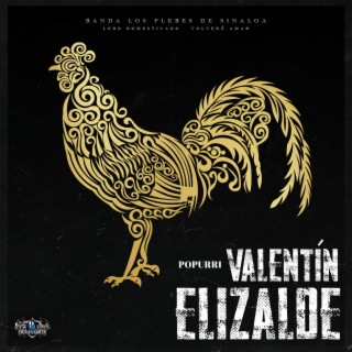 Popurri Valentin Elizalde - Volveré a Amar