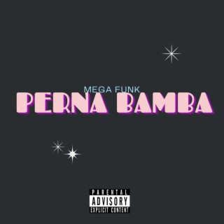 MEGA FUNK PERNA BAMBA