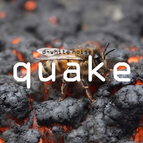 Quake (Original Raw Mix) | Boomplay Music
