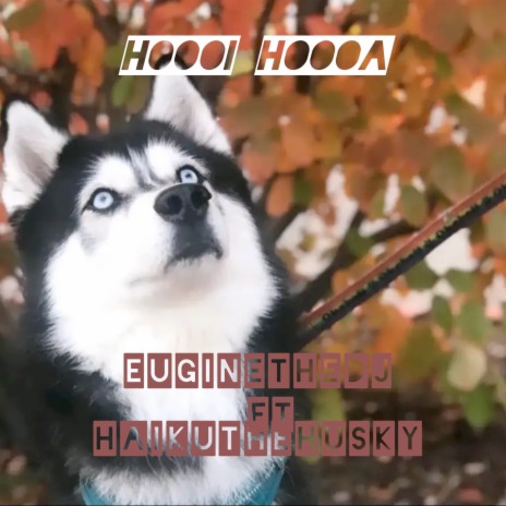Hoooi Hoooa ft. Haukithehusky | Boomplay Music