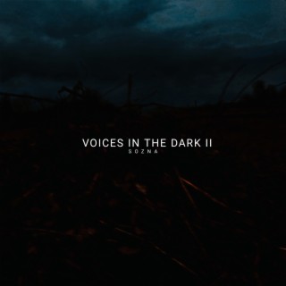 Voices in the Dark II