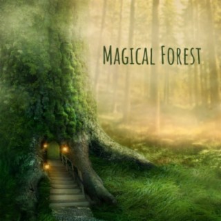 Magical Forest