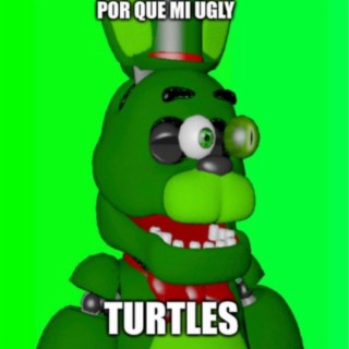 POR QUE MI UGLY TURTLES