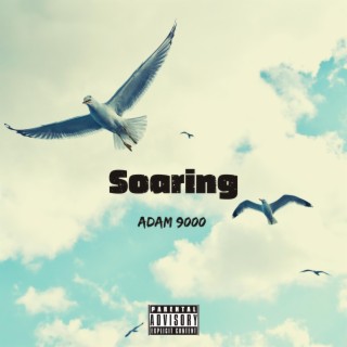 Soaring