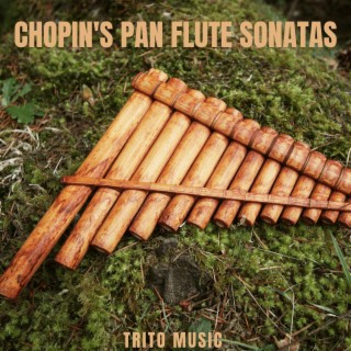 Chopin's Pan Flute Sonatas
