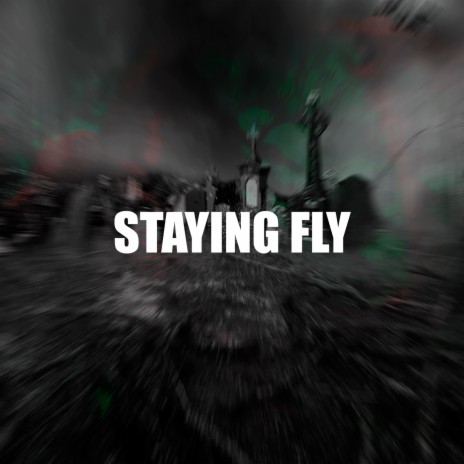 STAYING FLY | Boomplay Music