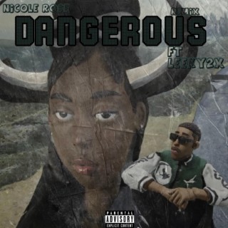 Dangerous (Remix)