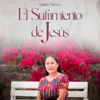 El Sufrimiento de Jesús