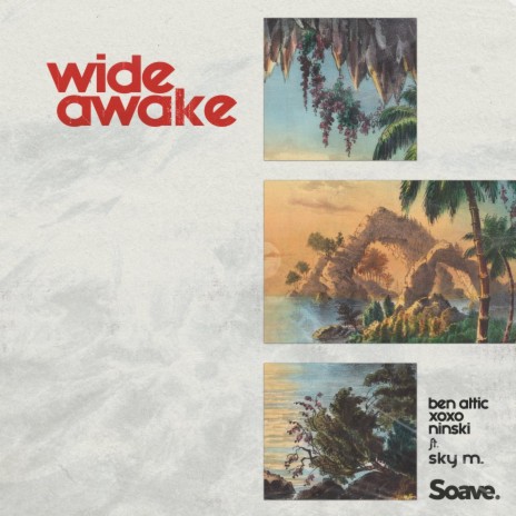 Wide Awake ft. Ninski & Sky M. | Boomplay Music