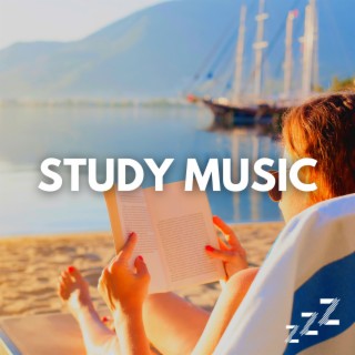 Study, Beach, Repeat