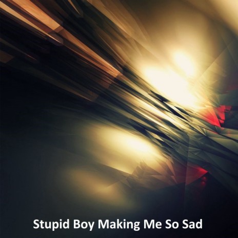 Stupid Boy Making Me So Sad | Boomplay Music