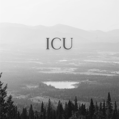 ICU ft. Aiden Somerville | Boomplay Music