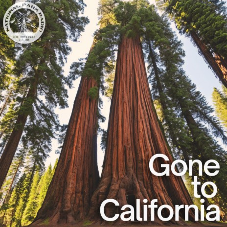 Gone To California | Boomplay Music
