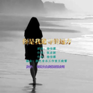 你是我追寻的远方 lyrics | Boomplay Music