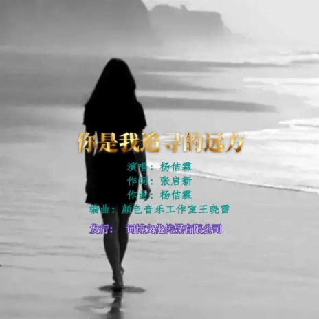 你是我追寻的远方 | Boomplay Music