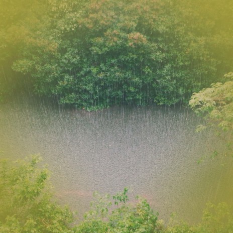 Sound of Summer Rain for Stress Relief and Better Sleep ft. Rain Recorders & Rain Sounds & White Noise | Boomplay Music