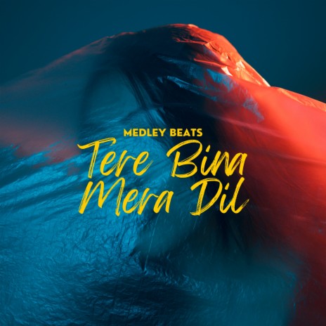 Tere Bina Mera Dil | Boomplay Music