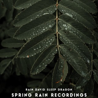 Spring Rain Recordings