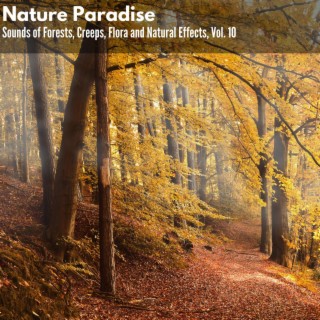 Nature Paradise - Sounds of Forests, Creeps, Flora and Natural Effects, Vol. 10