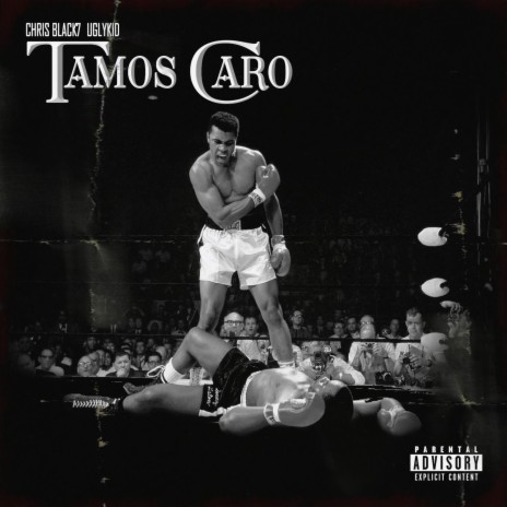 TAMOS CARO | Boomplay Music