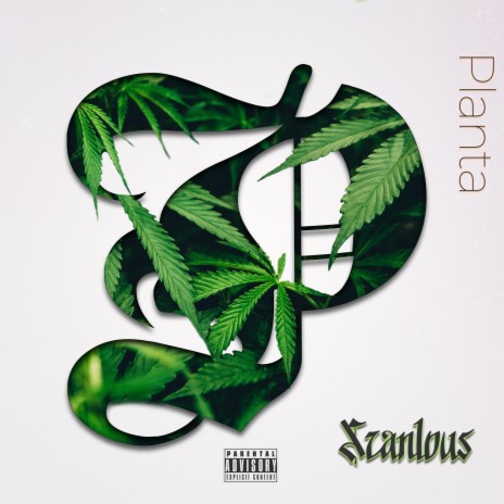 Planta ft. iQlover & ElReghosg | Boomplay Music