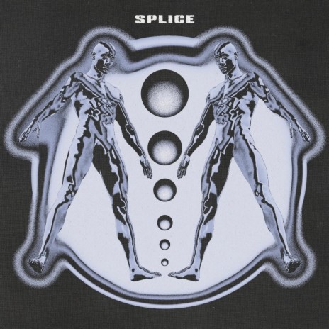 Splice | Boomplay Music