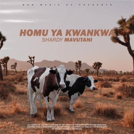 Mukwana Wa xinyayi | Boomplay Music