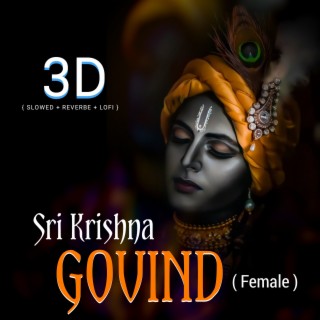 Sri Krishna Govind (3d Version + Lofi + Slowed)