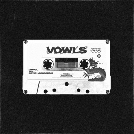 VOWLS ft. Dimvol & Arvid Häggström | Boomplay Music