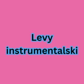 Levyinstrumentalski