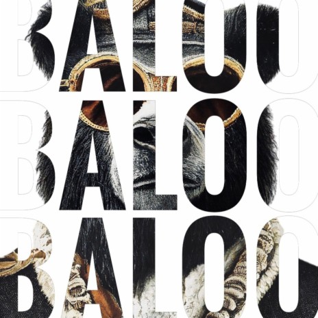 Baloo | Boomplay Music