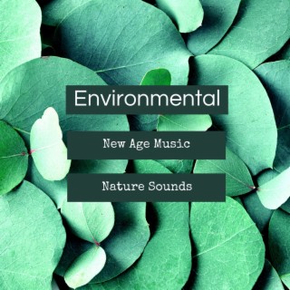 Environmental New Age Music: Nature Sounds Peaceful Songs