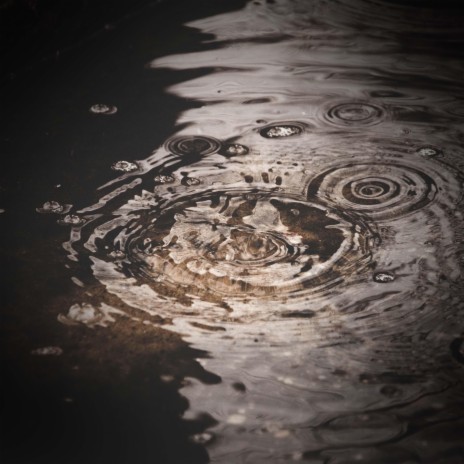 Footsteps in Puddles Sounds with Light Rain for Instant Relaxation ft. Gentle Rain Makers & Chill Bees